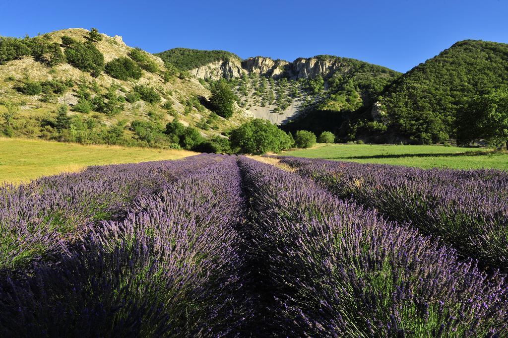 Готель Vvf Drome Provence Монбрен-ле-Бен Екстер'єр фото